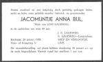 Bijl Jacomijntje Anna 2 (328).jpg